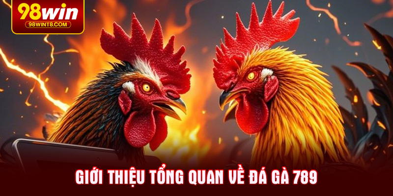 Giới thiệu tổng quan về đá gà 789